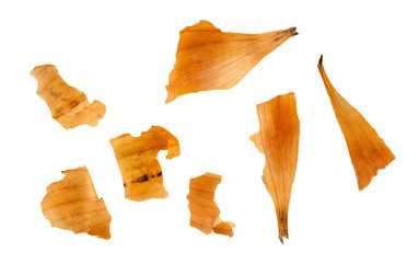 set of golden brown onion peels, textured onion flakes, isolated on a transparent background, cut out, overlay graphic element