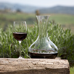 Red wine in a wine carafe and a wine glass in vineyard