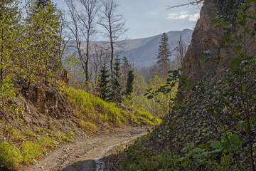early autumn, nature walks, panoramic views, hiking trails and mountain holidays.