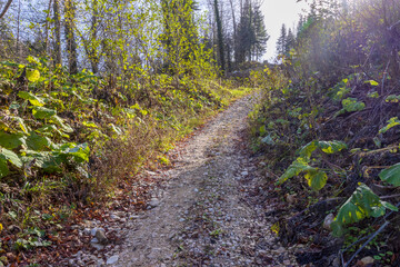 early autumn, nature walks, panoramic views, hiking trails and mountain holidays.