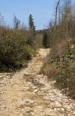 early autumn, nature walks, panoramic views, hiking trails and mountain holidays.