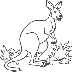 Kangaroo coloring pages. Kangaroo animal outline for coloring book