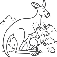 Kangaroo coloring pages. Kangaroo animal outline for coloring book