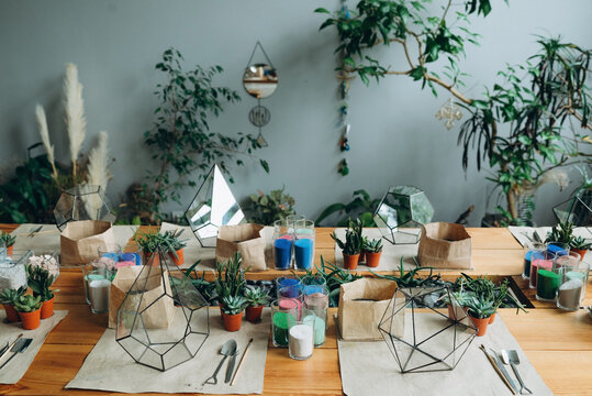florarium masterclass. DIY florarium. Home gardening hobby. Top view of work place succulents colorful moss in glass vases, tweezers, tools and soil on wooden surface.