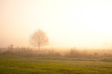 Friesischer Nebel - von strahlenden Sommermorgen bis zu milchigen Wintertagen - Frieslands sanfte Seite 14