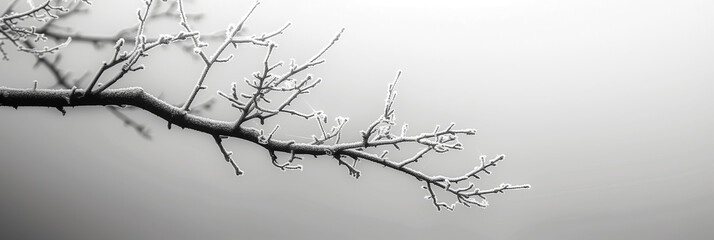 Contemporary minimalist background header or banner of a branch