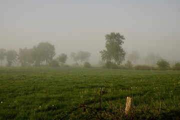 Friesischer Nebel - von strahlenden Sommermorgen bis zu milchigen Wintertagen - Frieslands sanfte Seite 28