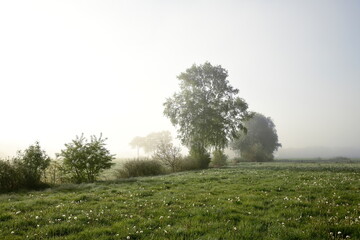 Friesischer Nebel - von strahlenden Sommermorgen bis zu milchigen Wintertagen - Frieslands sanfte Seite 31