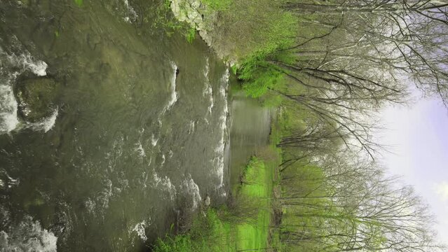 Overlooking a creek with vivid green trees and bushes on either side.