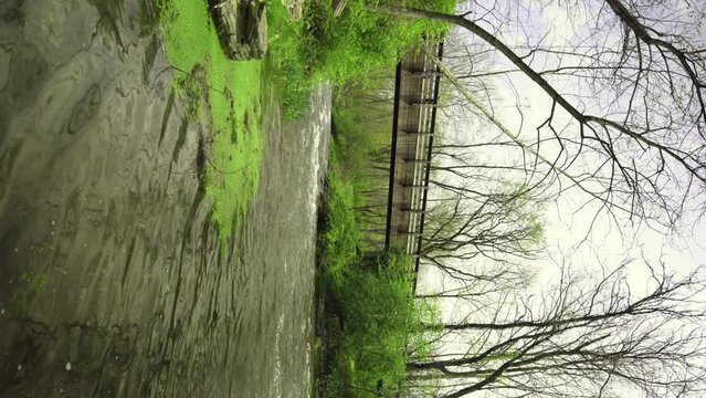 Bridge leading across a creek. View close to water. Vivid green trees and bushes.