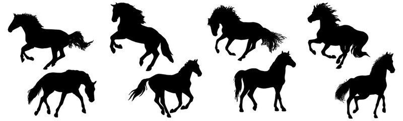 Set vector illustration of horse silhouettes  - obrazy, fototapety, plakaty