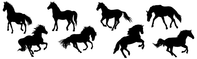 Vector of horse illustration silhouettes in a set - obrazy, fototapety, plakaty