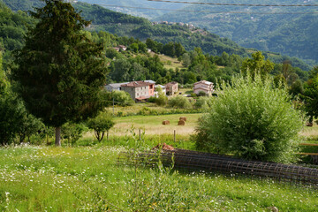 Summer landscape along the road from Bagni di Lucca to Castelnuovo Garfagnana, Tuscany - 789218750