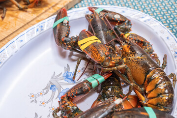various fresh galician lobster lubrigants for cooking