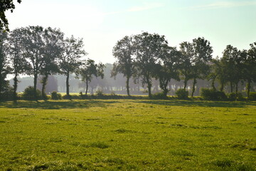 Friesischer Nebel - von strahlenden Sommermorgen bis zu milchigen Wintertagen - Frieslands sanfte Seite 32
