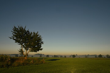 Friesischer Nebel - von strahlenden Sommermorgen bis zu milchigen Wintertagen - Frieslands sanfte Seite 35
