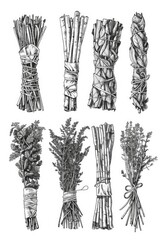 Hand-Drawn Set of Sage Smudge Sticks: Aromatic Herb Bundle Doodles for Decoration, Cleansing, and Aromatherapy
