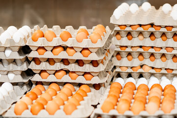 Stacks of egg cartons with white and brown eggs