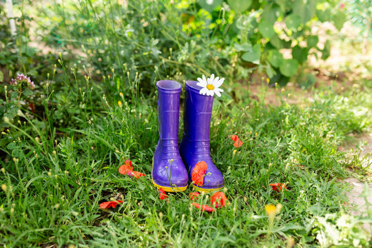 Purple rain boots with a daisy in a lush garden setting