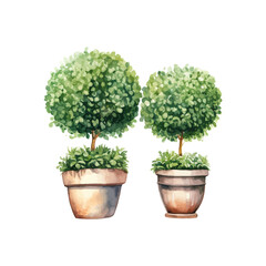 Topiary evergreen trimmed round geometric shrubs watercolor style. Vector illustration design.
