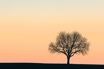 Minimalist image of a lone tree silhouette against a warm sunset sky, conveying peace and simplicity