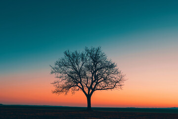 Fototapeta premium Tranquil and serene minimalist landscape with solitary tree silhouette at twilight against a vibrant and colorful sunset sky. Embodying the simplicity and natural beauty of nature
