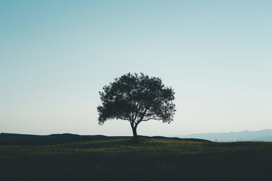 Minimalist image capturing the silhouette of a single tree against a tranquil twilight sky