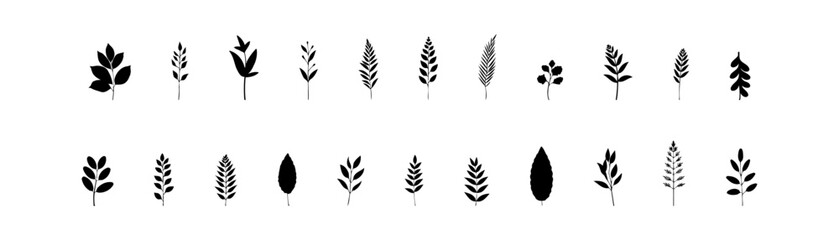 Set of Black Silhouette Botanical Icons. Vector illustration design.