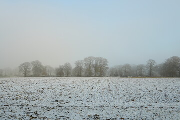Friesischer Nebel - von strahlenden Sommermorgen bis milchigen Wintertagen - Winternebel 6