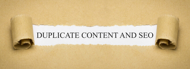 Duplicate Content and Seo - obrazy, fototapety, plakaty