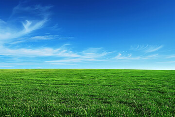 Obraz premium A wide green grass field with a blue sky