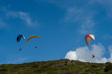  2 and 3 paragliders in the sky, Argentiera, Sassari, Sardinia, Italy