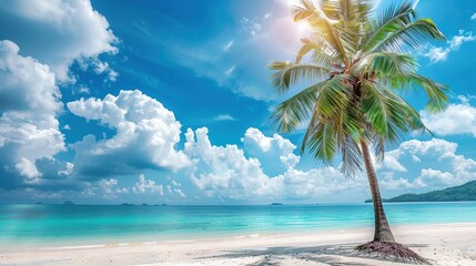 Naklejka premium Beautiful palm tree on tropical island beach on background blue sky with white clouds and turquoise ocean on sunny day. Perfect natural landscape for summer vacation. copy space for text.