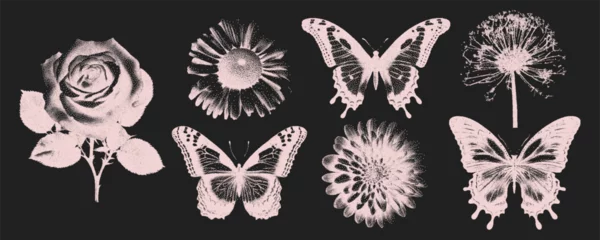Crédence de cuisine en verre imprimé Papillons en grunge Trendy elements in retro copy style. Flower, rose, butterfly. Stimpple grain effect. Vector illustration.