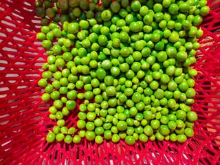 Green Peas peeled vegetable in basket. The pea is most commonly the small spherical seed or the seed-pod of the pod fruit pisum sativum. Each pod contains several peas, which can be green or yellow