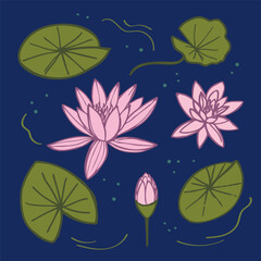 Swamp with water lilies. Hand drawn green Lily pads pink Lotus flowers on dark background. Flora with aquatic plants, botanical texture, overgrown pond, wetlands. Vector illustration for card, flyer