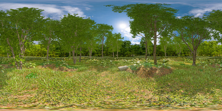 clearing in the forest 360° vr equirectangular environment