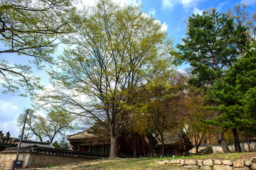Fototapeta premium The Korean beautiful traditional old palace,Yuksanggung shrine is the cultural heritage.