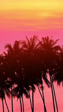 Cinematic aerial video camera moves Through silhouettes of palm trees to sea. Ocean Sunrise, sunset view of Palm tree and tropical island beach. Aerial vertical,&nbsp;vertical video background.