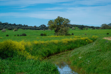Paysage de Toscane au printemps