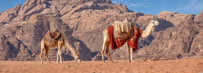 Valley of Wonder: Wadi Rum, Known as the Valley of the Moon, Carved into Sandstone and Granite Rock...
