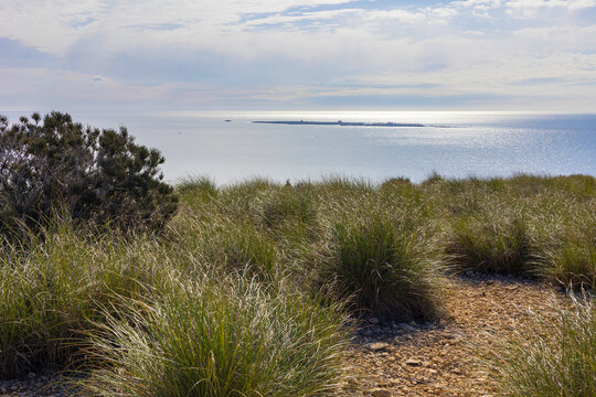 Sea and island view from grassy hill and cloudy sky. Tabarca Island is a Mediterranean Marine Reserve and Protection Area for Birds (ZEPA) in Spain. Summer vacation and boats tourism