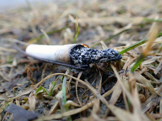 cigarette au sol	
