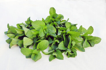 fresh spearmint leaves on a white background
