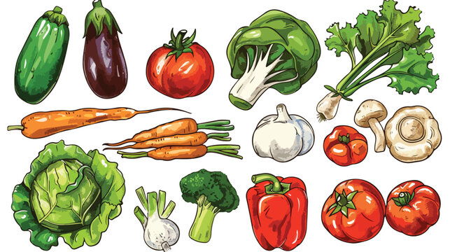 Top view of various fresh vegetables. Hand drawn style