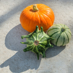 One orange and two green decorative pumpkins lie on a gray concrete background. Concept of variety of pumpkin varieties