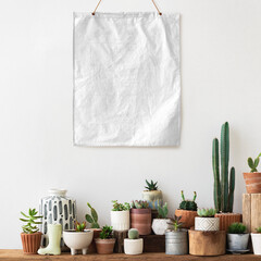 Canvas poster png hanging over a shelf full of cacti and succulents