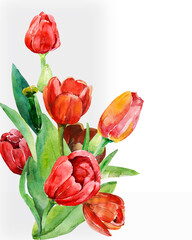 Red tulips pattern. Image on a white and colored background.
