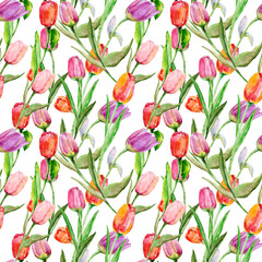 Tulips seamless pattern. Image on a white and colored background. - 789290700