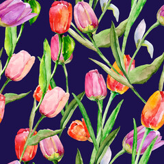 Tulips seamless pattern. Image on a white and colored background. - 789290703
